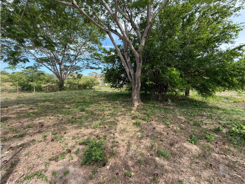 TERRENO / PLAYA MALIBU / 2000m2 / SEGUNDA LINEA DEL MAR — foto 6