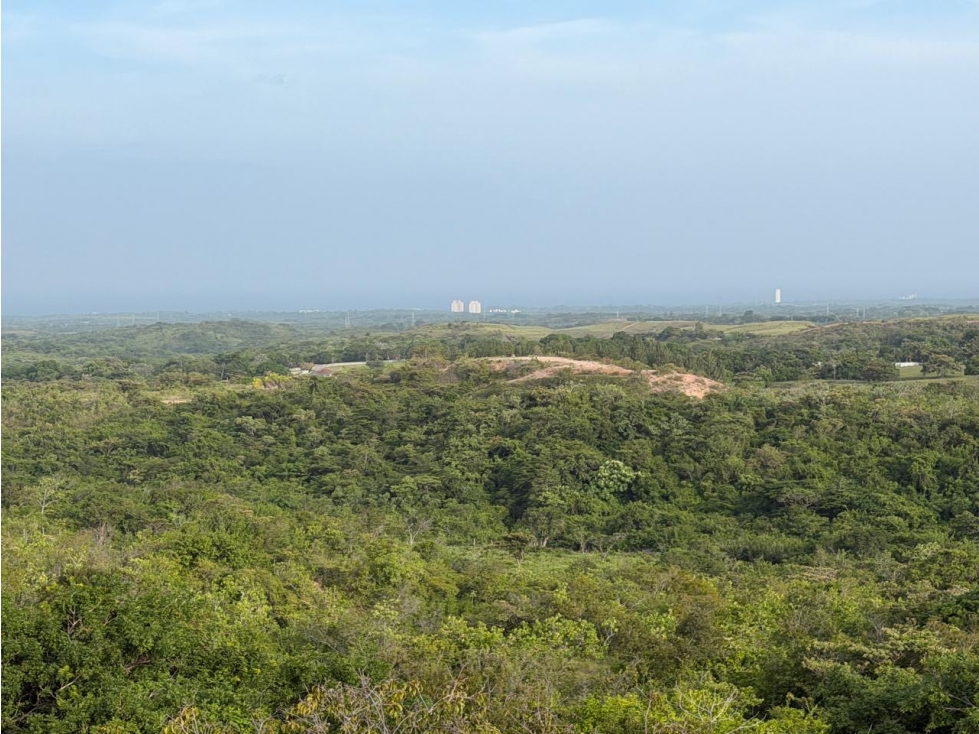 TERRENO / SAN CARLOS / 5,000M / ECOLÓGICO / VISTA AL MAR — foto 2