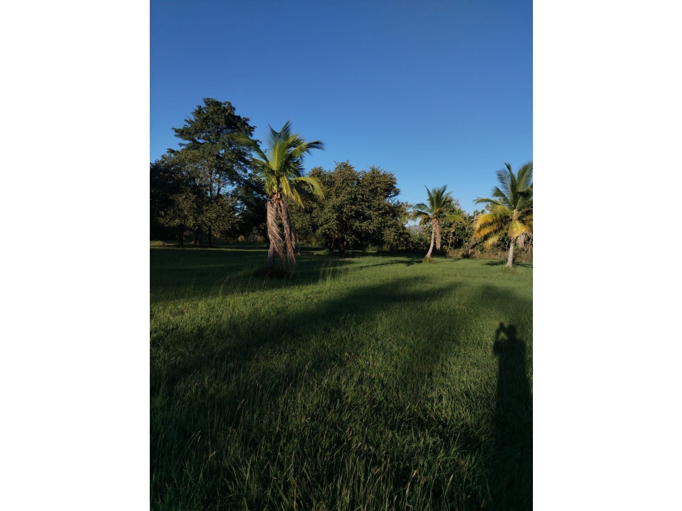 SE VENDE FINCA EN CORONADO BOULEVARD 6.8 HECTAREAS 50.00 M DESARROLLO — foto 4