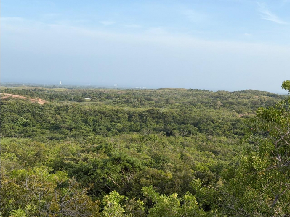 TERRENO / SAN CARLOS / 5,000M / ECOLÓGICO / VISTA AL MAR — foto 3