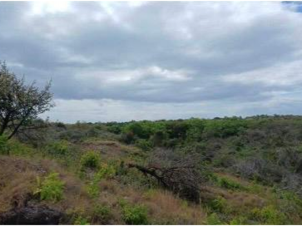 CHAME / LAS LAJAS / 3.03 HECTAREAS / TERRENO / ZONAS VERDES / RIO