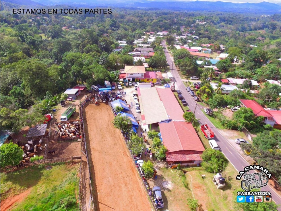 GANGA / COLON / FINCA / BUENA VISTA / 43.5 HECTAREAS / PARA DESARROLLO - 6