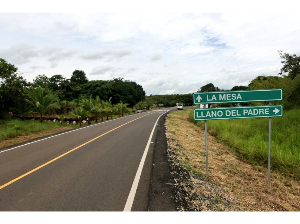 LA MESA DE VERAGUAS / TERRENO COMERCIAL / 15000M / VIA INTERAMERICANA - 1