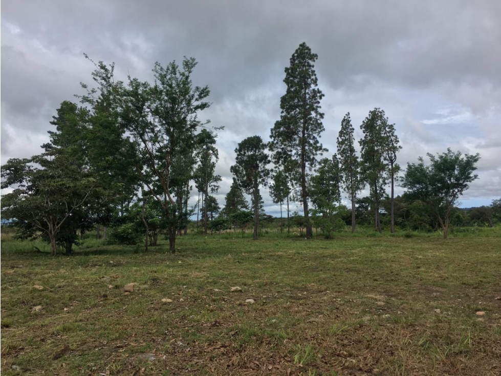 TERRENO COMERCIAL / FRENTE A CARRETERA PRINCIPAL VIA BOQUETE / 1430M - 4