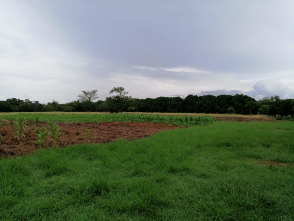 SE VENDE TERRENO 37,789M EN CORONADO BOULEVARD CON 3 FINCAS - 6