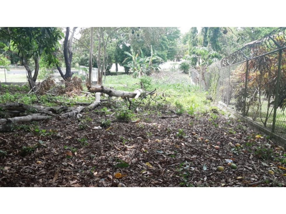 PLAYA CORONA / TERRENO / 5914M2 / CERCA DE LA PLAYA / ZONAS VERDES — foto 3
