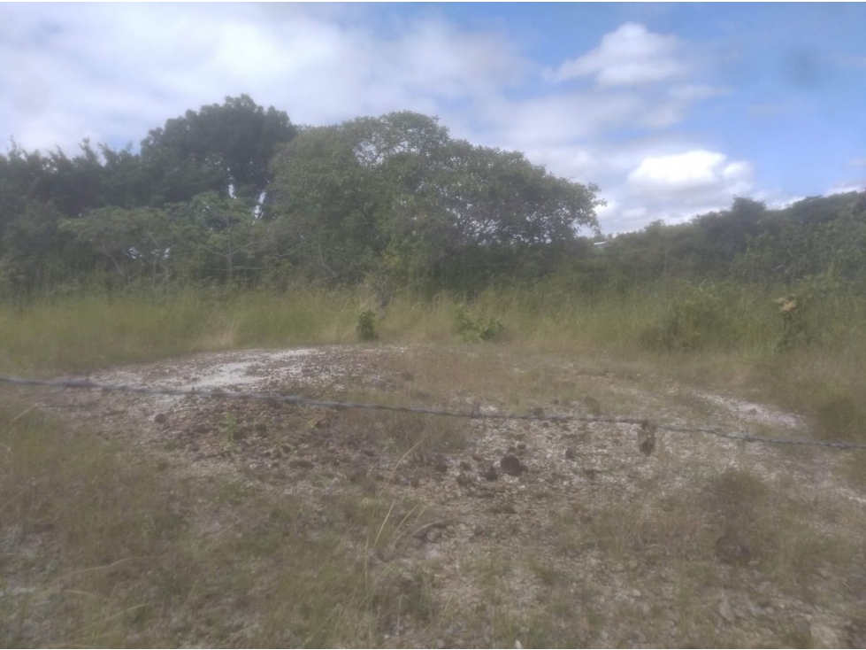 SE VENDE TERRENO EN SAN CARLOS DE 7000M2 CON ACCESO AL RIO