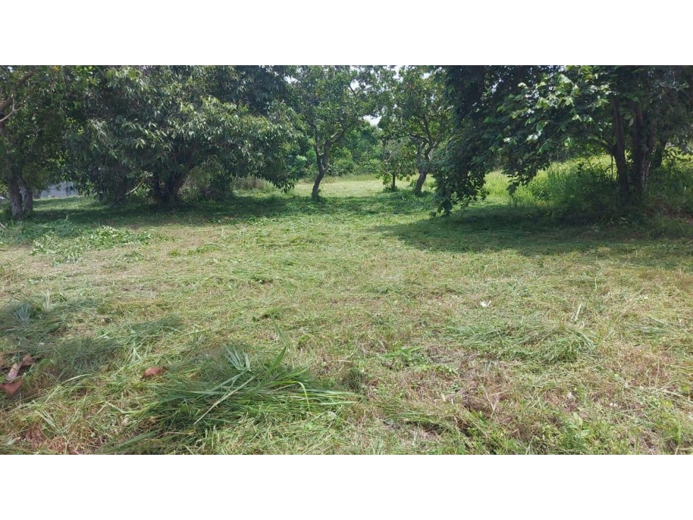 TERRENO / CORONADO / 1,198 M2 / LOTE PLANO / DENTRO DEL CLUB — foto 2