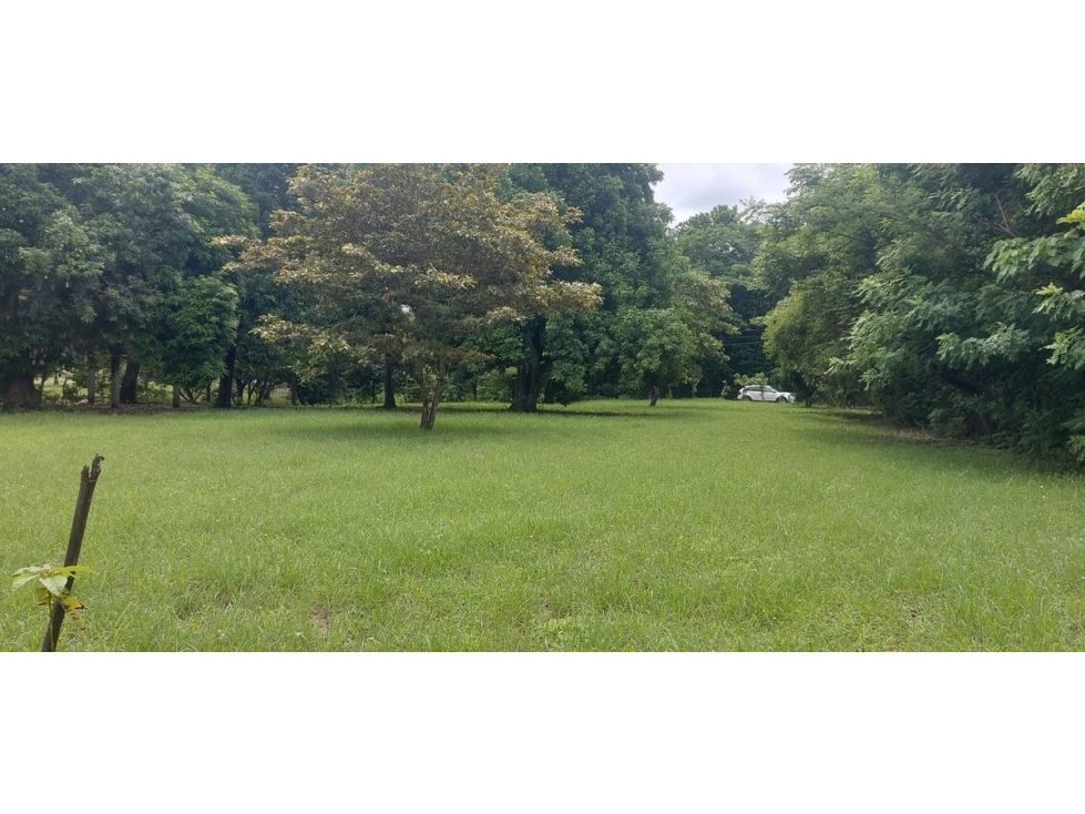 TERRENO / CHAME / EL ESPAVE / 4560 M2 / TOTALMENTE PLANO — foto 3