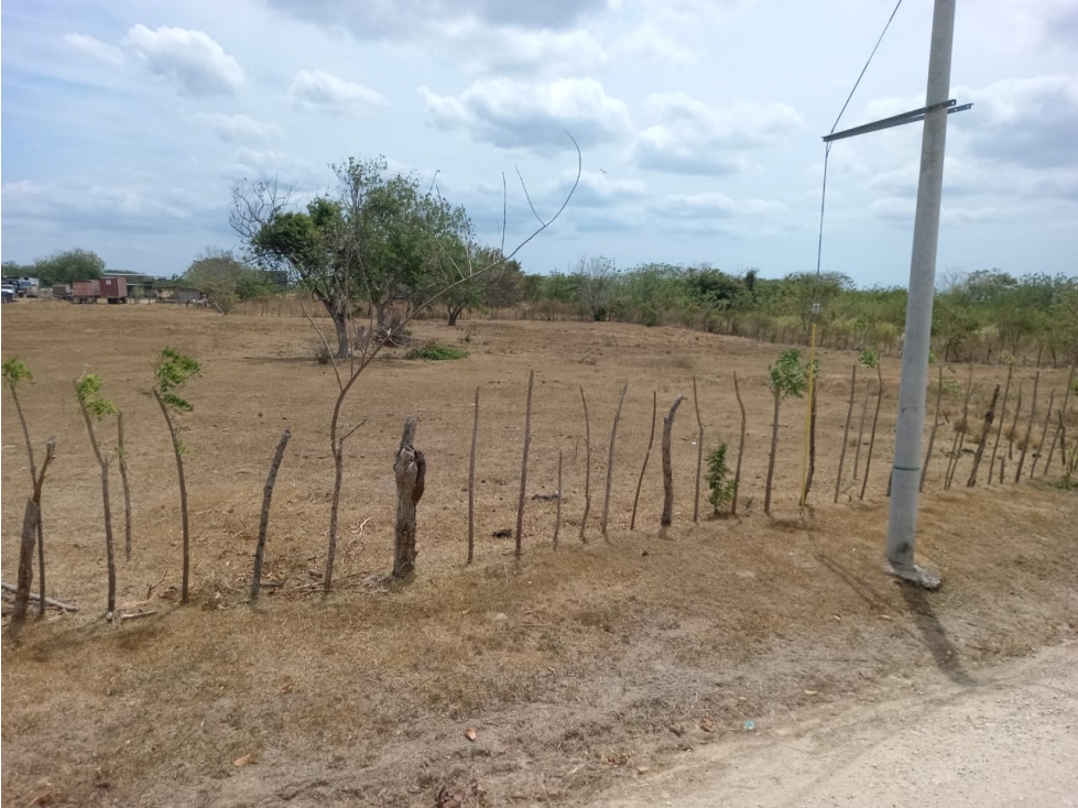 PENONOME / TERRENO / 3.538.81M2 - 3