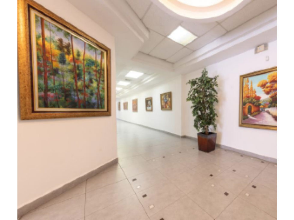 OFICINA / VISTA HERMOSA / PLAZA AMERICA / 227 M2 - 4