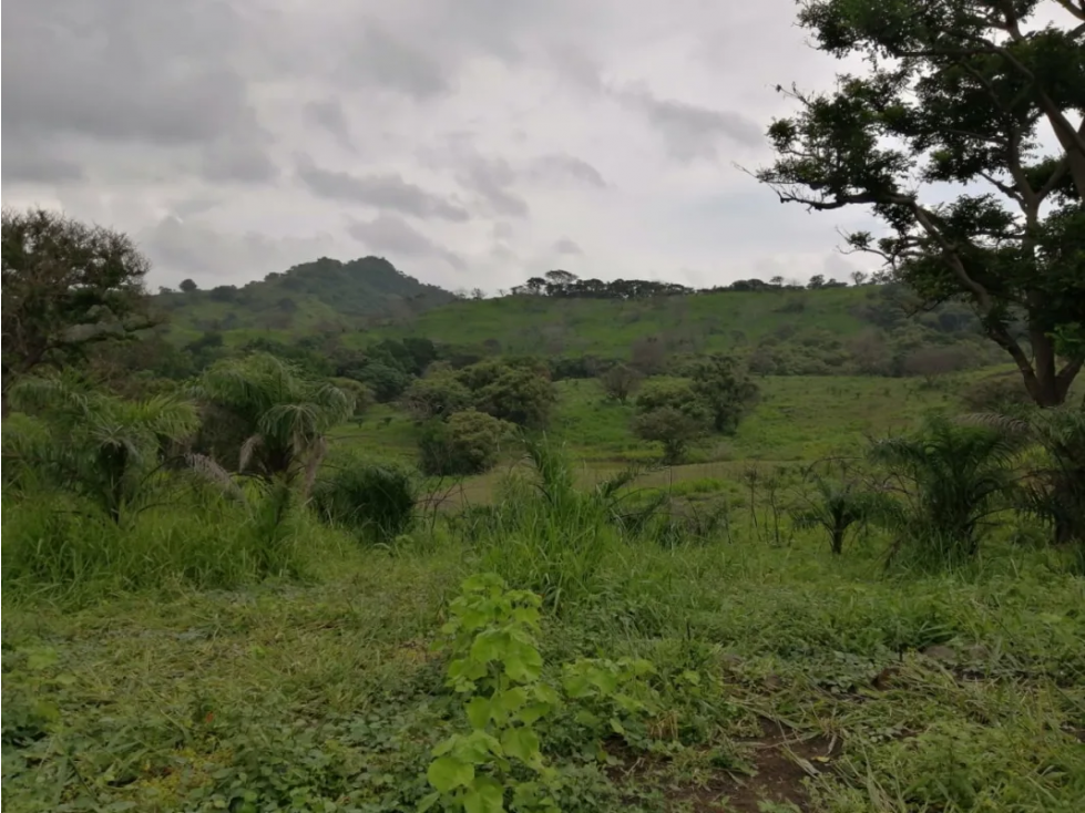 CAPIRA / CERMEÑO / FINCA / 88 HECTAREAS / 5 LAGOS - 4