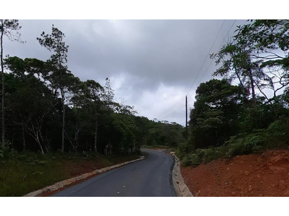 TERRENO / CERRO AZUL / EL VIGIA / 3187 M2 / ESQUINA — foto 3
