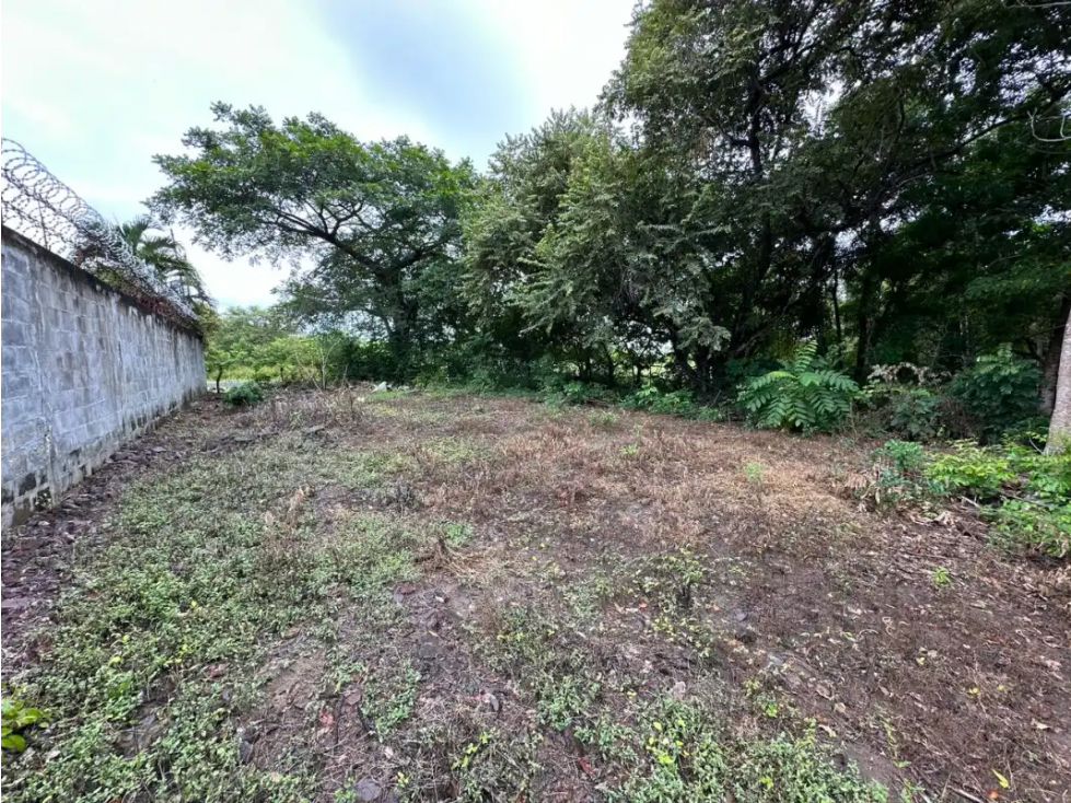 CORONADO / TERRENO / 994 M2 / PLANO / PLAYA / ZONAS VERDES - 3