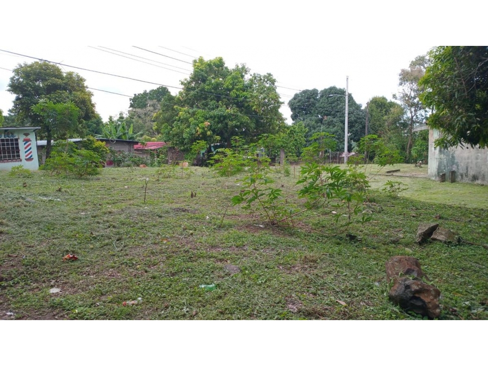 TERRENO / 24 DE DICIEMBRE / CABUYITA / 1800 M2 / ORILLA DE CALLE - 4