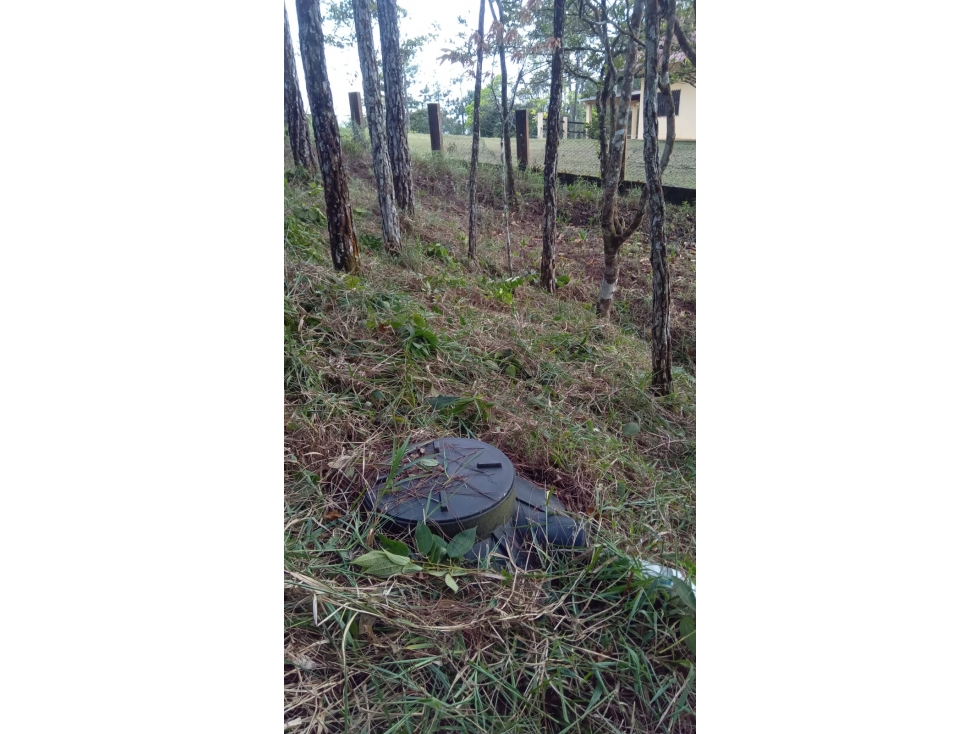 TERRENO / CERRO AZUL / 1178 M2 / CLIMA FRIO — foto 3
