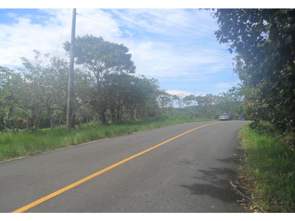 COLON / COSTA ARRIBA / NOMBRE DE DIOS / FINCA / 110 HECTAREAS - 1