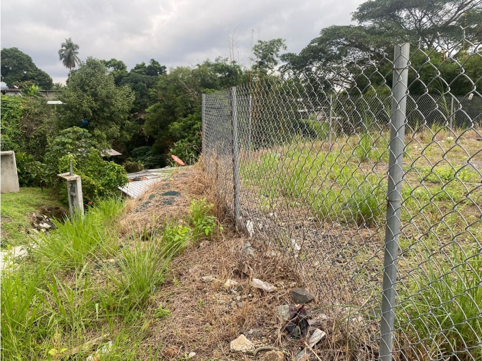 TERRENO / TOCUMEN / CABUYA / 460M / VIA PRINCIPAL / ORILLA CALLE JC - 4