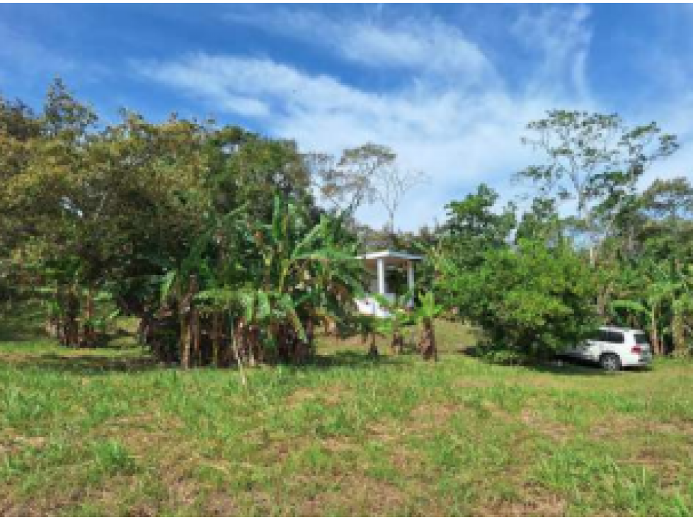 SE VENDE TERRENO 10433 M2 EN SAN CARLOS CON CASA OBRA GRIS