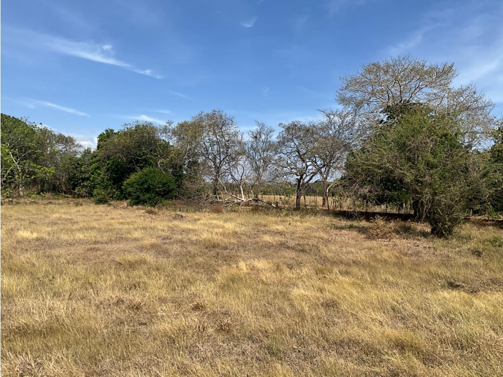 LAS TABLAS / FINCA / 3 HECTAREAS / POZO DE AGUA - 2