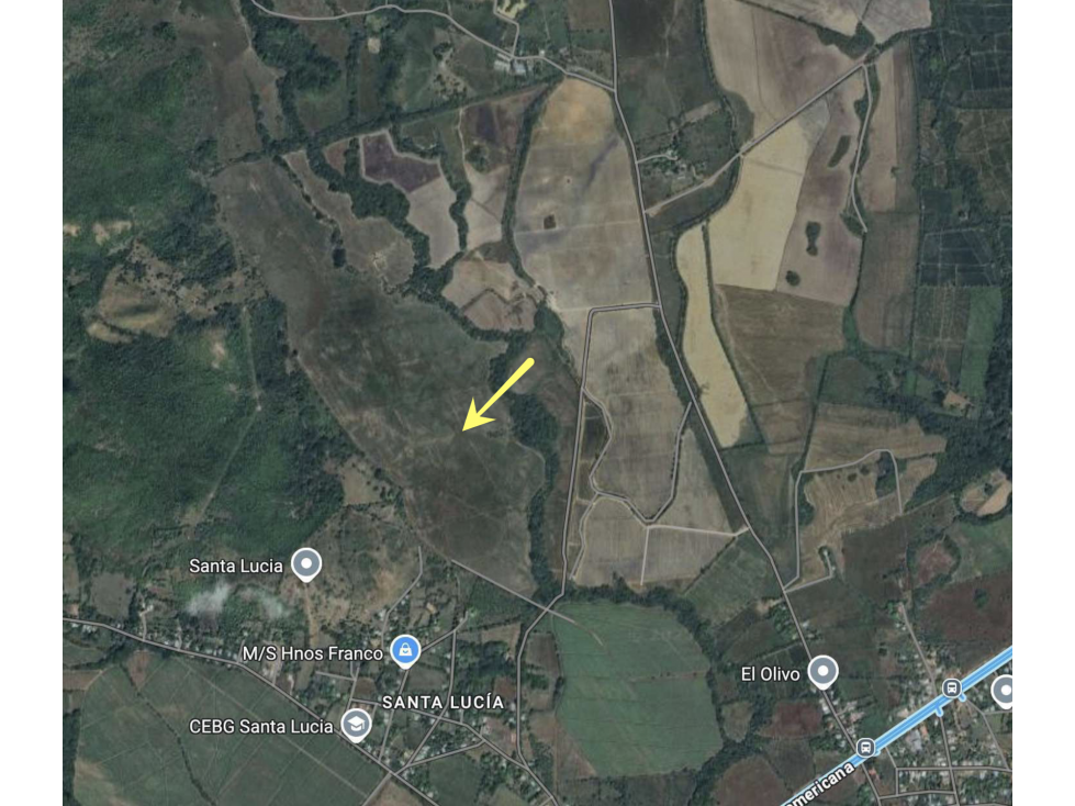 COCLE / EL CAÑO / TERRENO 5 HECTAREAS / CERCA DE INTERAMERICANA - 2