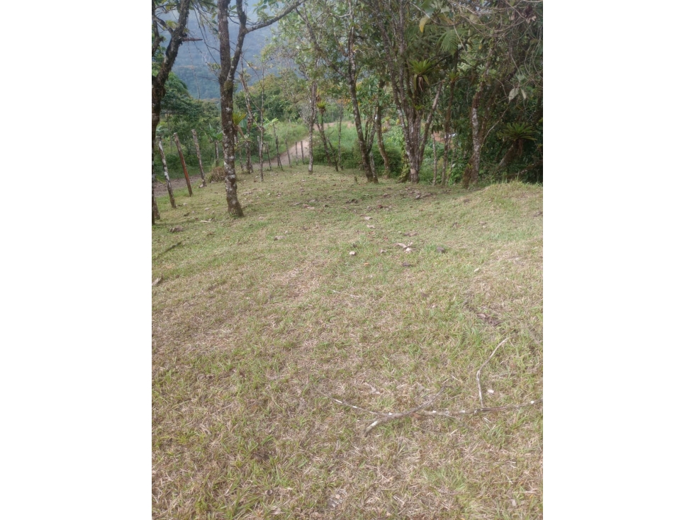 VERAGUAS / SANTA FE / 4300M / TERRENO / VISTA A LA MONTAÑA AG - 4