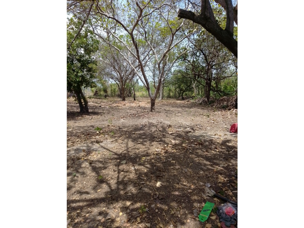 CHAME / CORONADO / TERRENO PLANO / 1000M / CERCA DE PLAYA / AG — foto 4
