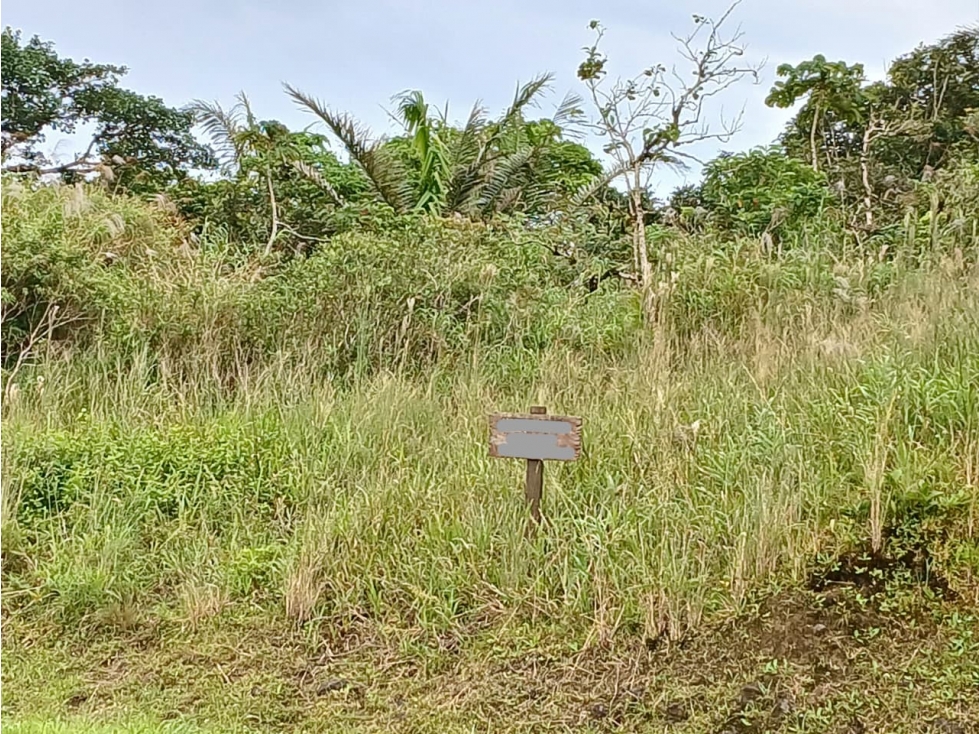 COCLE / EL VALLE DE ANTON / LAS NUBES / 3888M / TERRENO / AG - 3