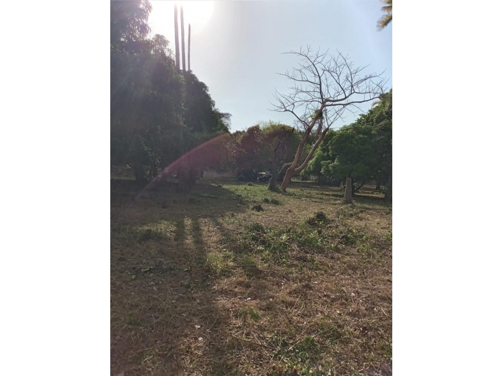 CHAME / CABUYA / 12857M / FINCA CERCA DE RIO / SOBRE LA VIA / AG — foto 3