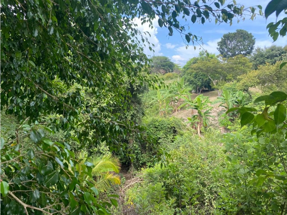 LAS GUIAS / COCLE / 8244 M / CERCA DE PANAMERICANA / PLAYA AG - 6
