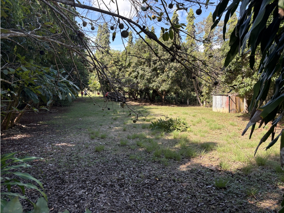 SAN CARLOS / EL ESPINO / 1744 M / TERRENO PLANO / CERCA DE PLAYA / AG — foto 3