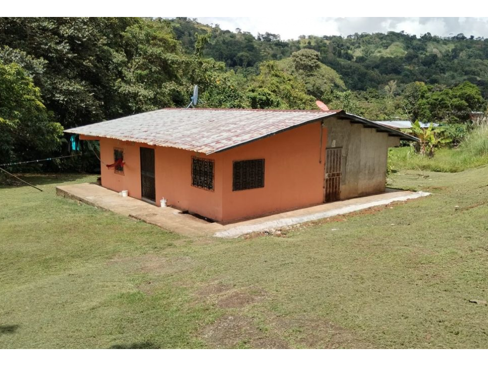 TERRENO / COLON / BUENA VISTA / 16570M / CON 2 CASAS / SOBRE VIA - 1