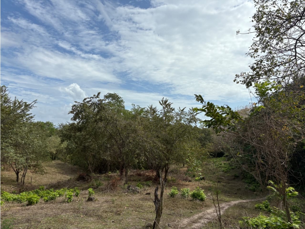 SAN CARLOS / LAS LAGARTIJAS / 250000M / GANADERIA / USO COMERCIAL AG — foto 3