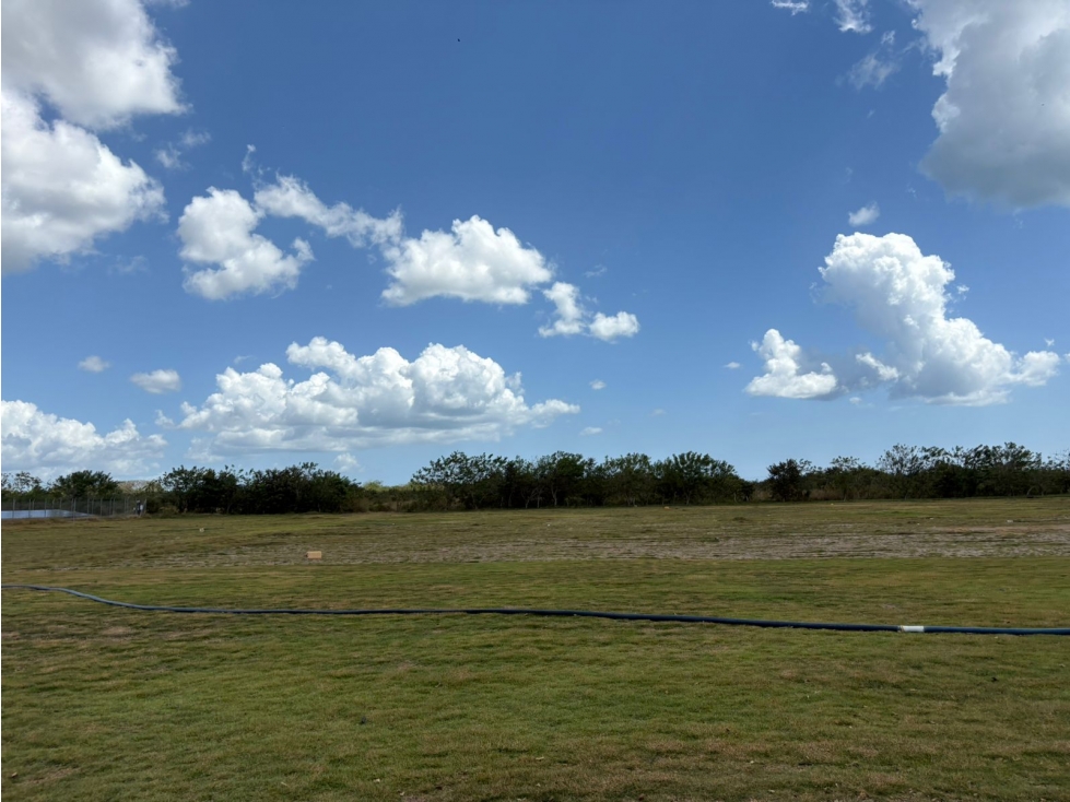 COCLE / RIO HATO / 110 HECTAREAS / SOBRE LA VIA / USO COMERCIAL / AG - 4