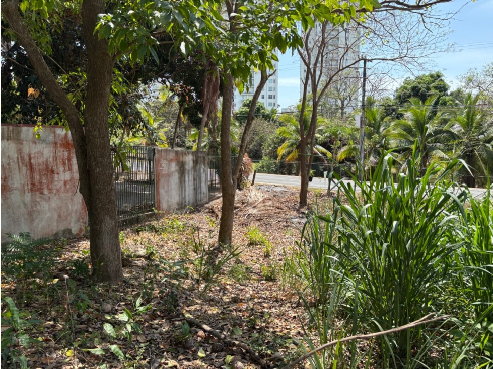 SAN CARLOS / RIO MAR / 1600M / SOBRE LA VIA / CERCA DE PLAYA / AG — foto 6