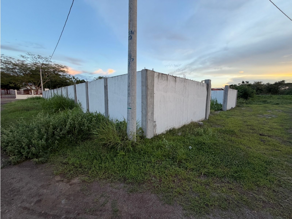 TERRENO / GORGONA / PLAYA MALIBÚ / 500M / MURO PERIMETRAL — foto 5