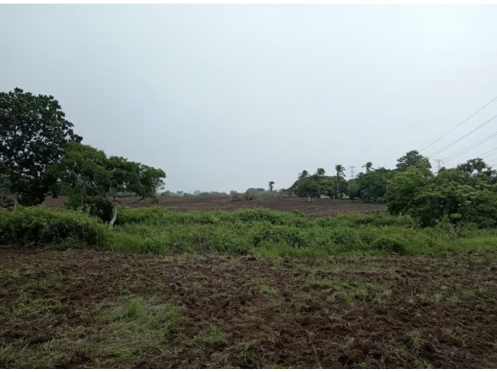 FINCA / COCLE / ANTON / 5.5 HECTAREAS / CON POZO - 3