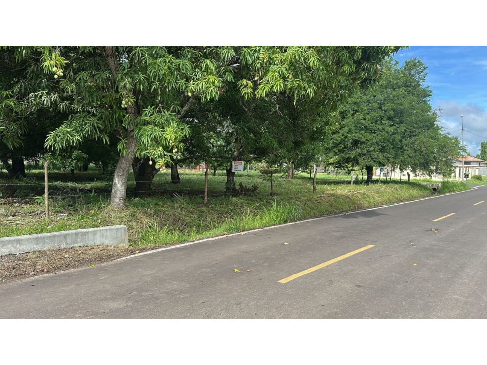 TERRENO / COCLE / AGUADULCE / 2400 M2 / PLANO / VIA ASFALTADA - 3