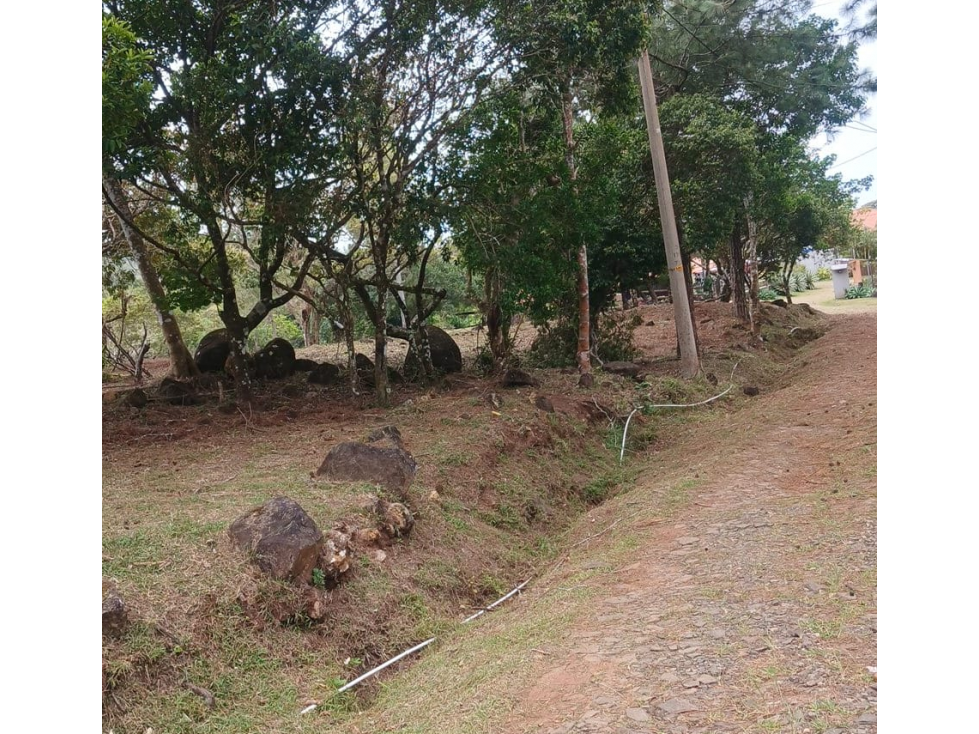 TERRENO / CHAME / CHICA / 2165 M2 / VIA ASFALTADA / CLIMAS FRESCOS