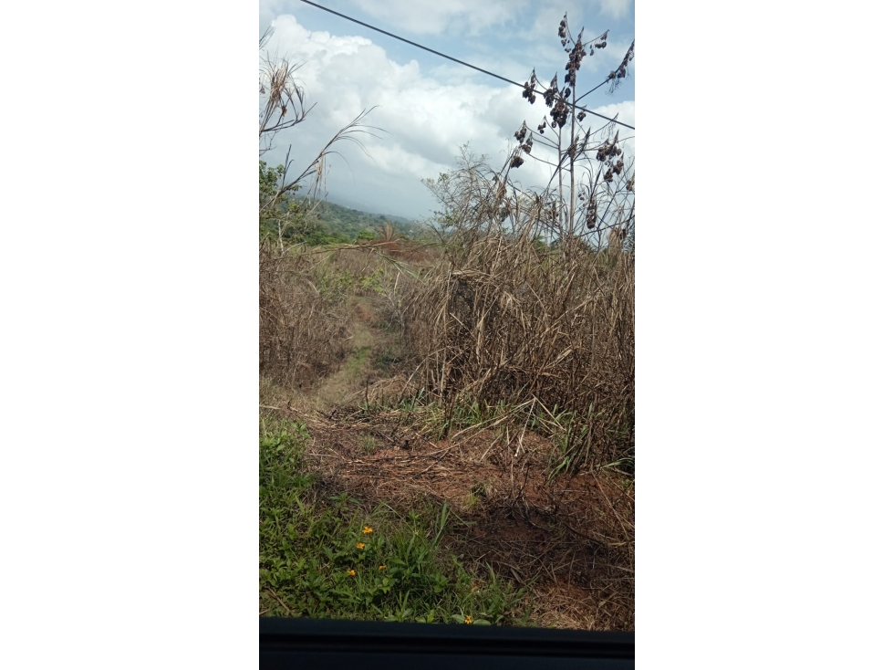 ARRAIJAN / VIA VALLE DEL SOL / 4.9 HECTAREAS / TERRENO / ZONAS VERDES — foto 4