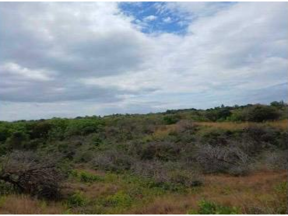 CHAME / LAS LAJAS / 3.03 HECTAREAS / TERRENO / ZONAS VERDES / RIO — foto 4