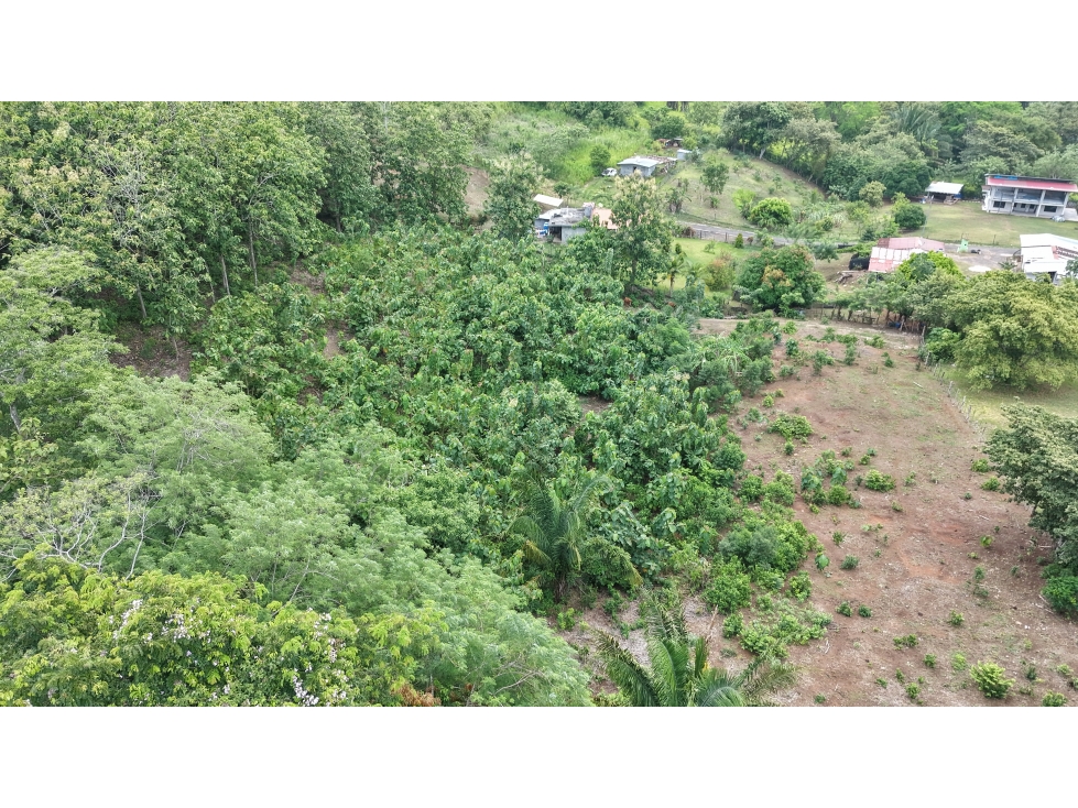 CAPIRA / VILLA CARMEN / 5783M / TERRENO AMPLIO / RODEADO DE VEGETACION — foto 4