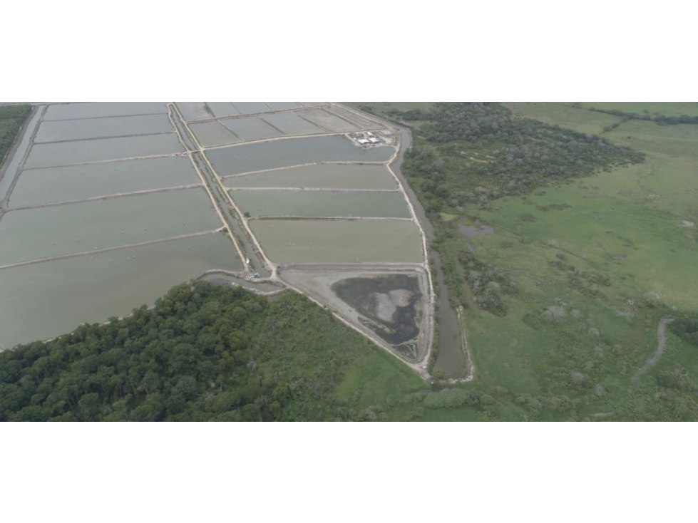COCLE / ANTON / 132 HECTAREA / TERRENO / ZONAS VERDES / FRENTE AL MAR - 4