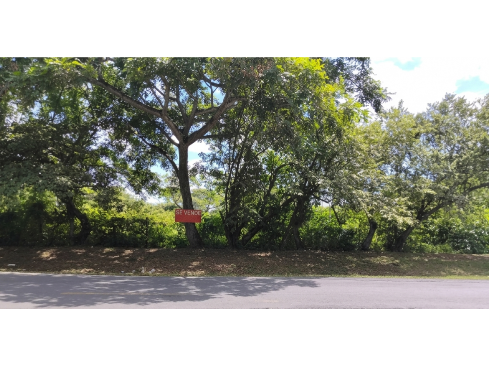 COCLE / CHURUBE / 2 HECTAREAS / TERRENO AMPLIO / SOBRE VIA ASFALTADA - 3
