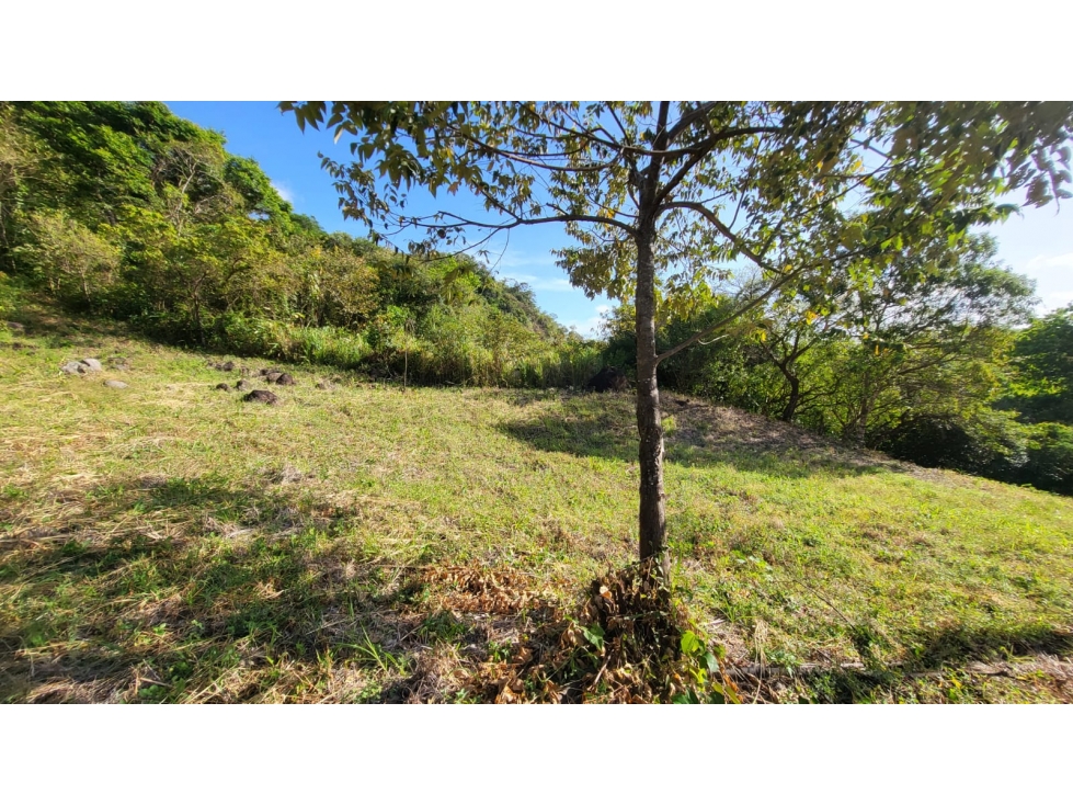 SE VENDEN 2 LOTES 4754 M2 EN SAN CARLOS VIA A LA LAGUNA TITULADOS - 4