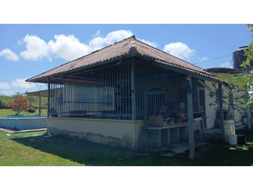 COCLE / ANTON / 19846 M2 / FINCA / CON CASA / PISCINA / ZONAS VERDES - 2