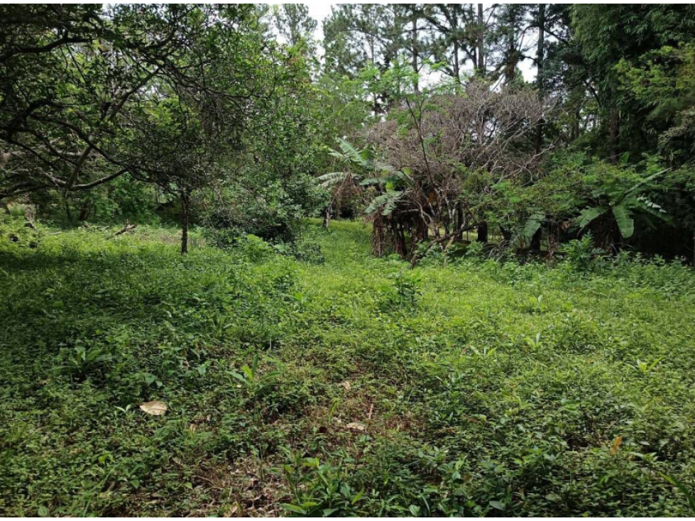 CHAME / SORA / 1595M / TERRENO SEMI-PLANO / SOBRE VIA ASFALTADA