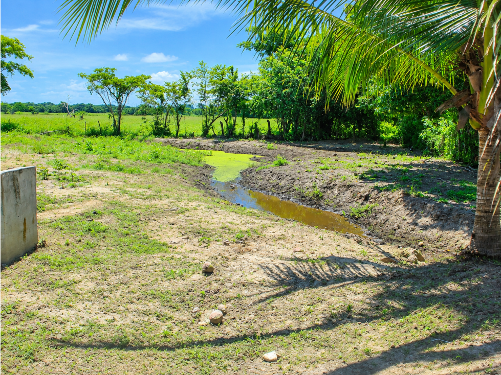 SE VENDE TERRENO COCLÉ EL CHIRÚ PLAYA 4400M SEGUNDA LINEA DEL MAR - 2