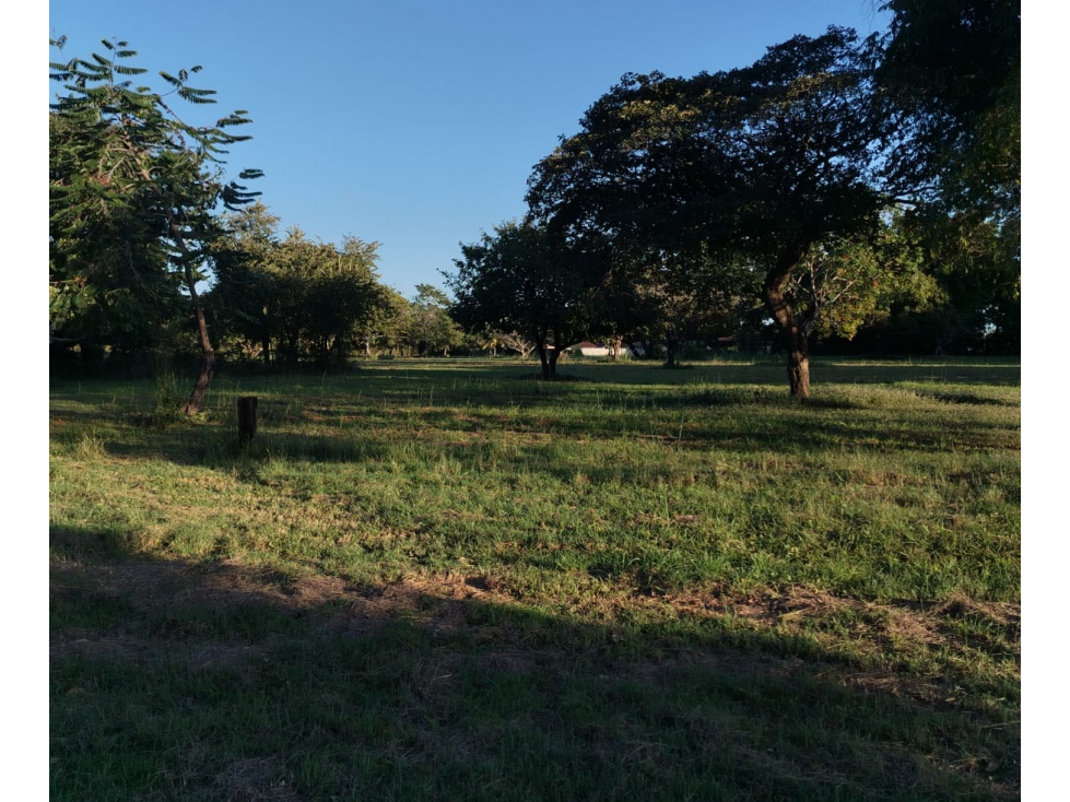 CORONADO / BOULEVARD / 6.8 HECTAREAS / TERRENO PARA DESARROLLO - 1