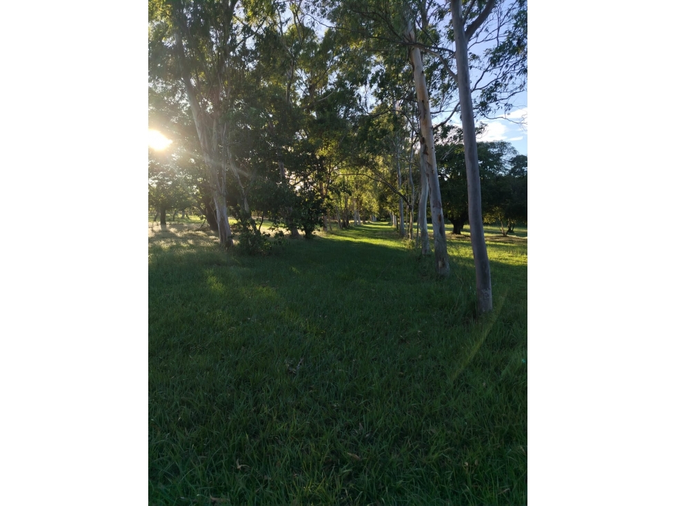 SE VENDE FINCA EN CORONADO BOULEVARD 6.8 HECTAREAS 50.00 M DESARROLLO — foto 6